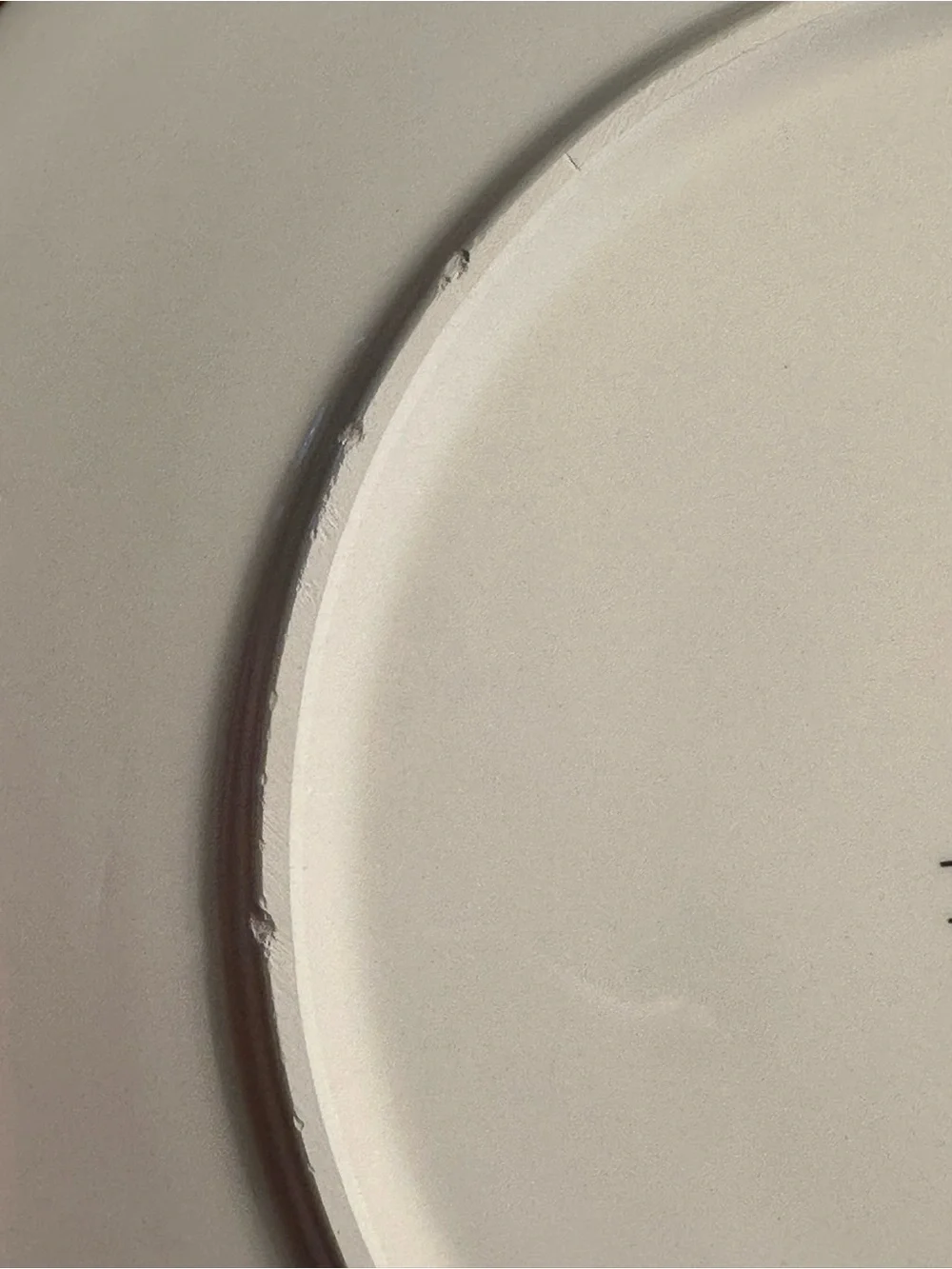 Pier 1 Sea Life Seahorse 9” Salad Plate Ironstone Coastal Nautical Discontinued